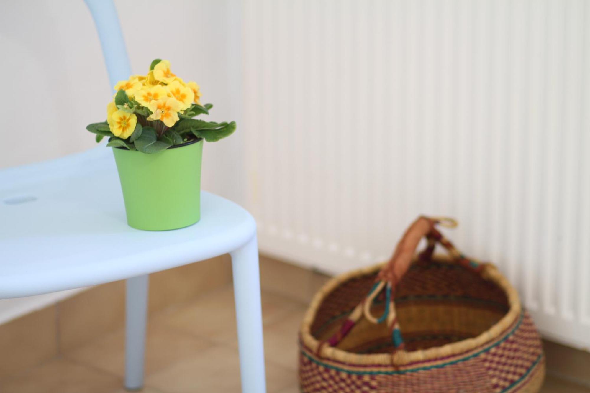 Apartament - Compartir Кадакес Екстериор снимка